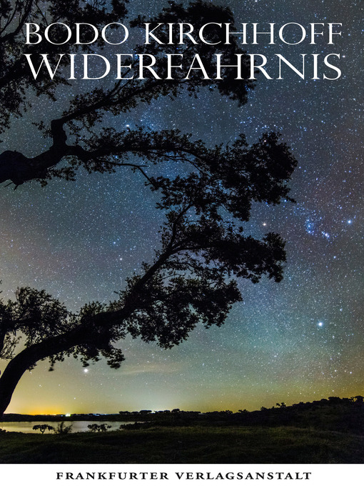 Title details for Widerfahrnis by Bodo Kirchhoff - Wait list